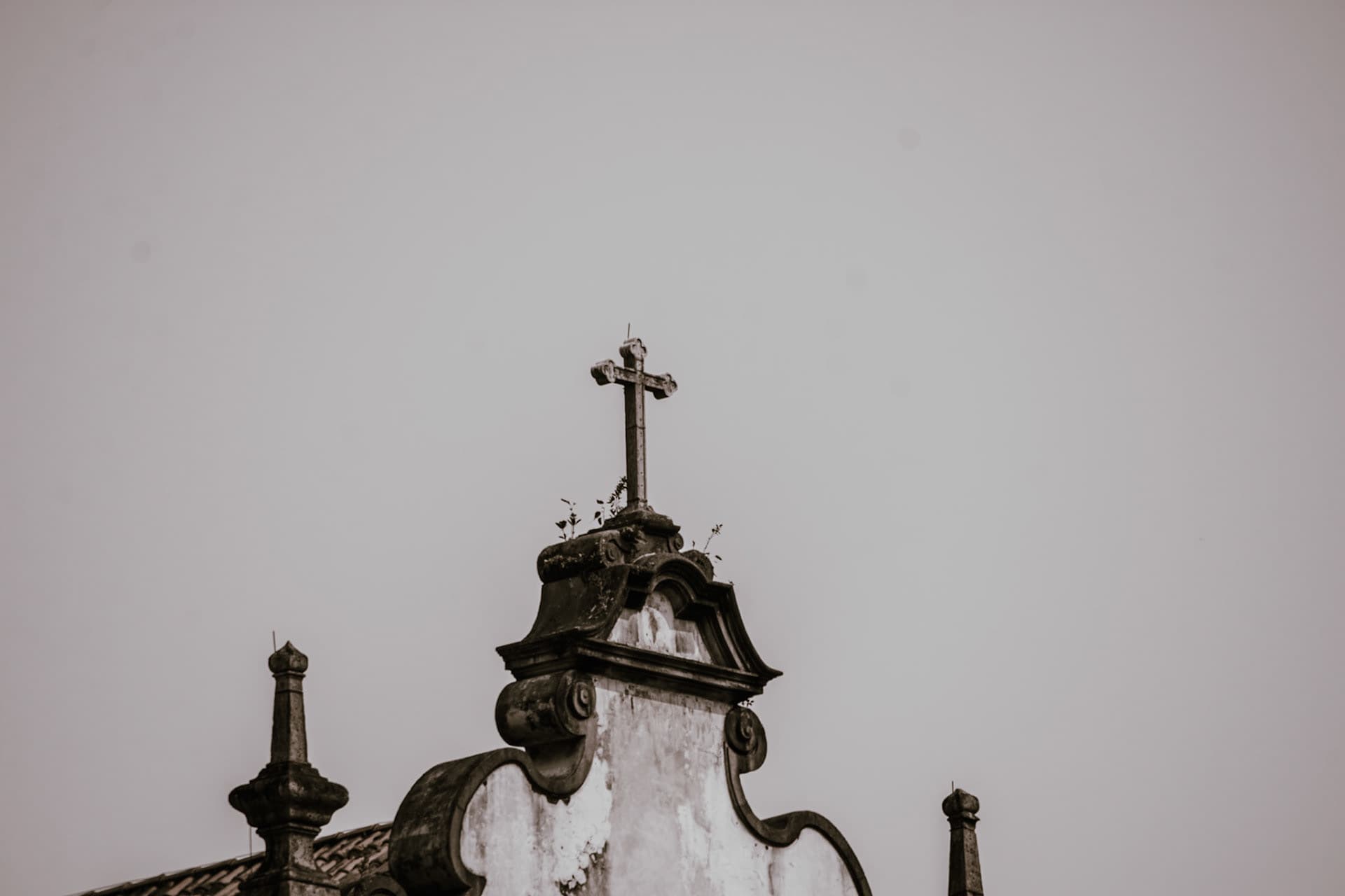 Sem Título