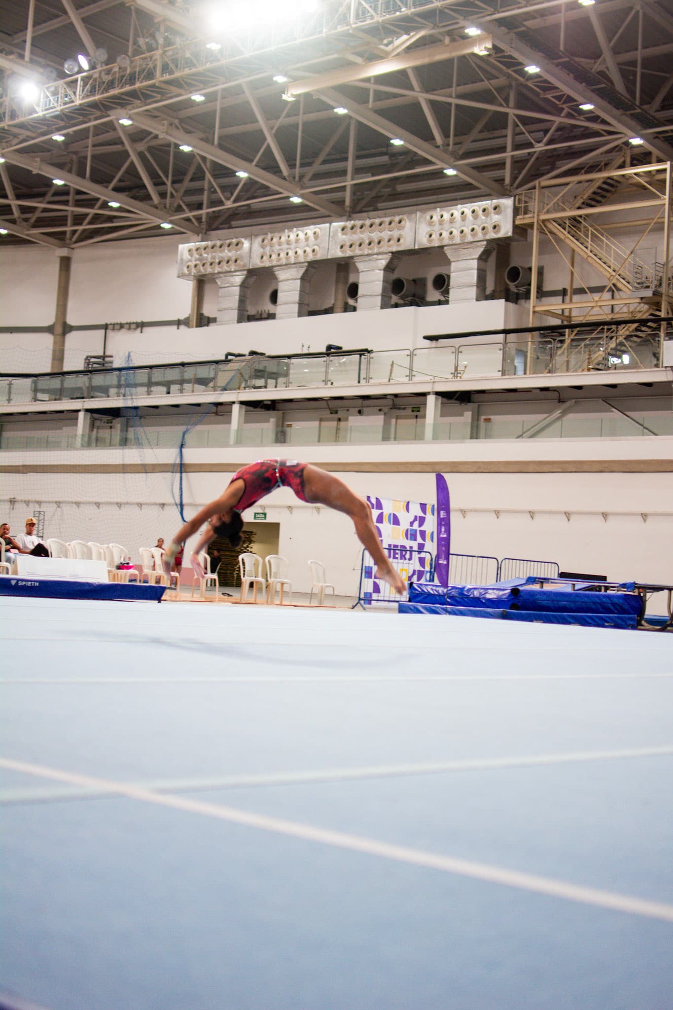 Ginástica Artística - Jerj
