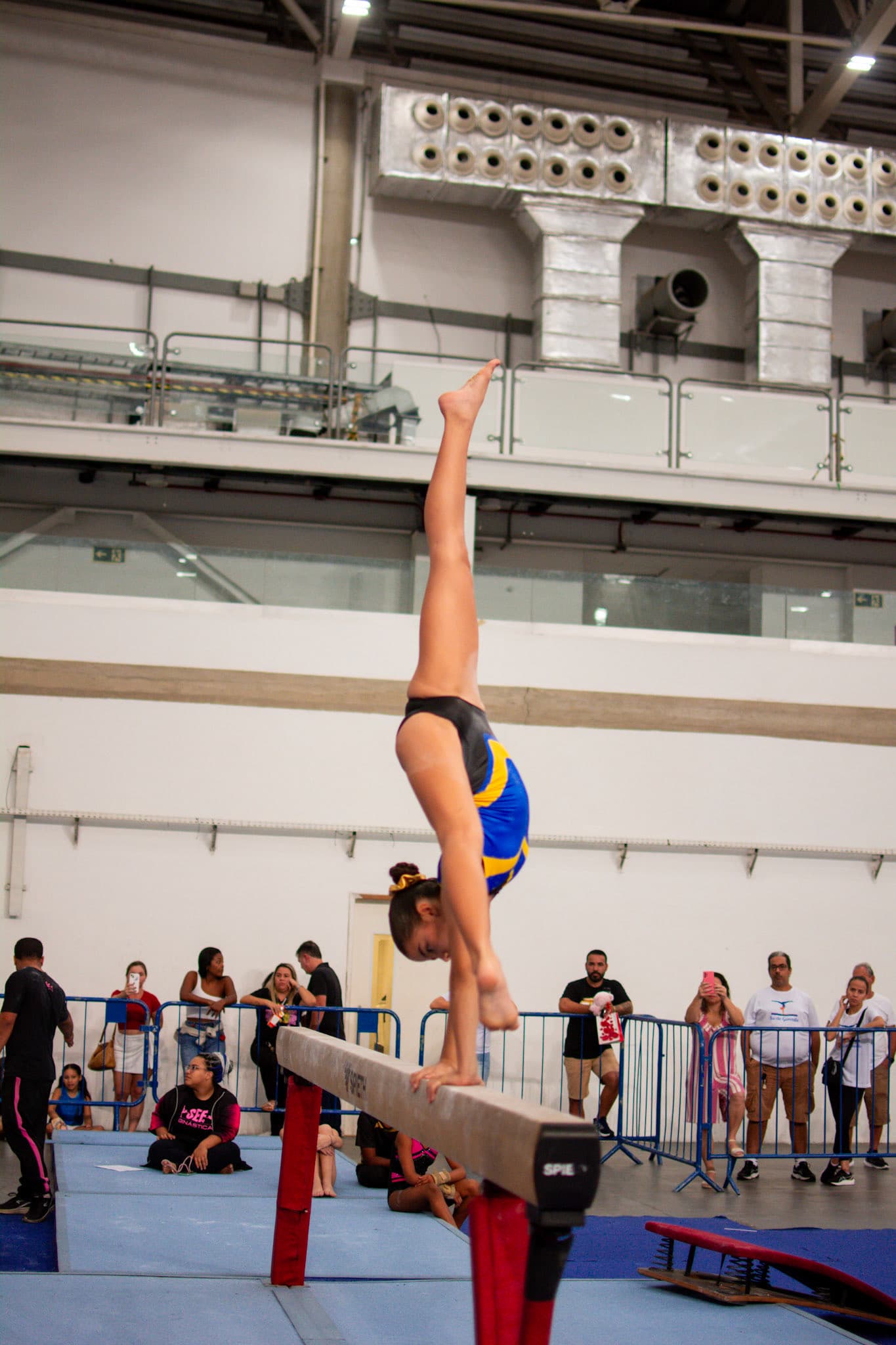 Ginástica Artística - Jerj