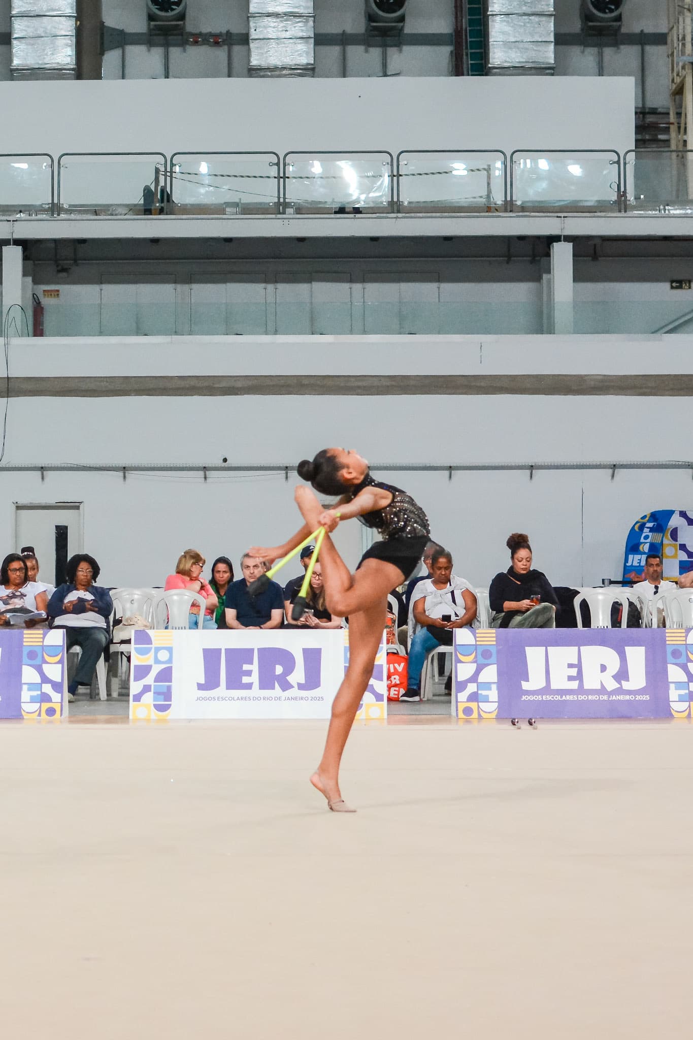Handebol - Jerj