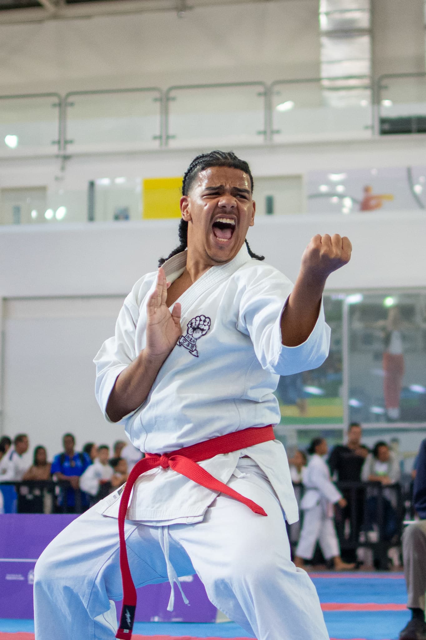 Karate - Jerj