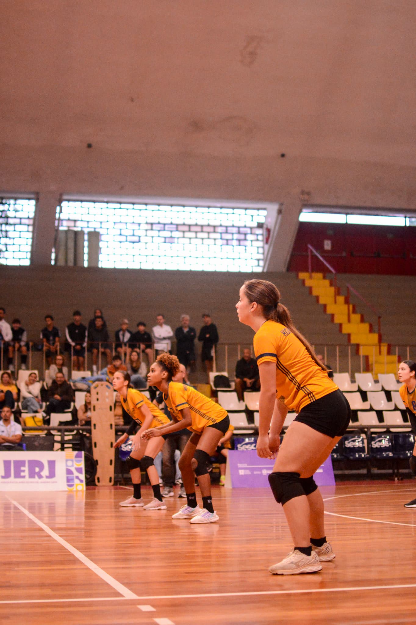Volei - Jerj